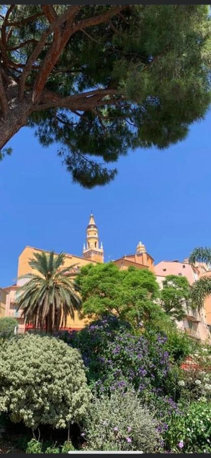 Menton Centre Vue Imprenable Sur Mer Et Jardin Bioves Ngoại thất bức ảnh